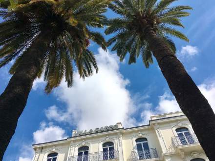 palm tree in cannes from Villla garbo, Luxury Appart Hotel in Cannes